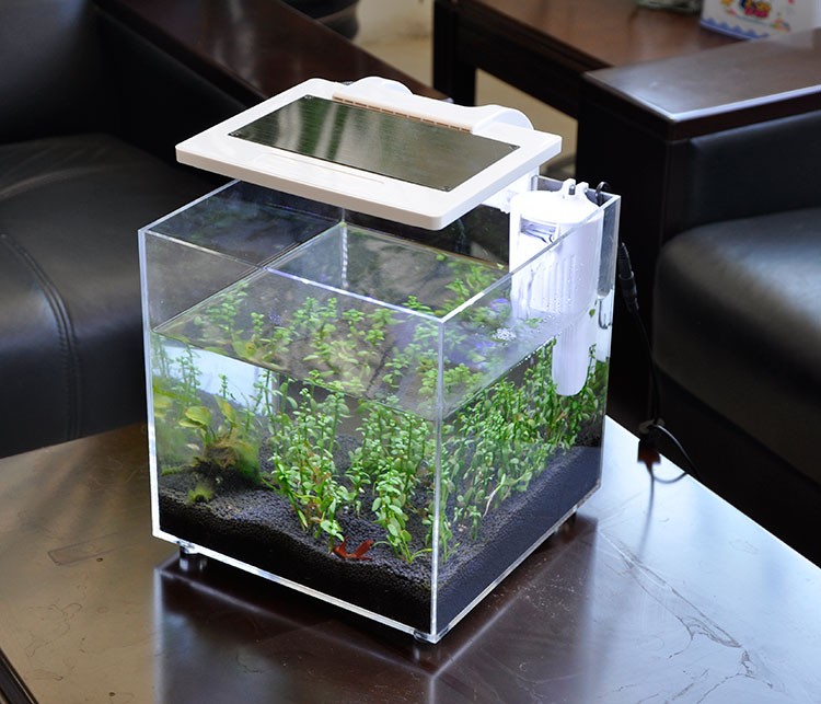 ミニアクリル水槽（25×25×25cm）照明・ろ過システム付 - Aquarium Marina のレビューと価格