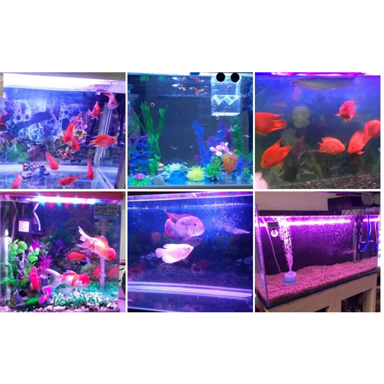 50W 60W 70W 100W RGB 26-28V ハイ - Marine Aquarium Uv のレビューと価格