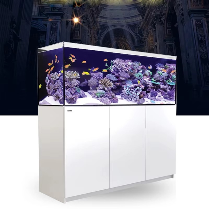 水槽アクセサリー 高品質リムレスカスタム大型150ガロンフル - Aquarium Marine Setup のレビューと価格