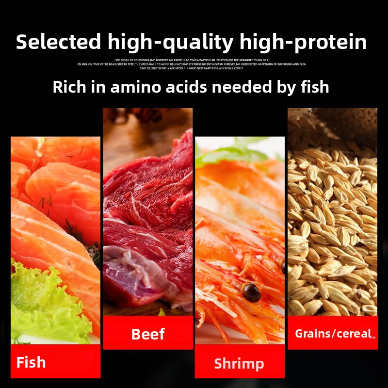 サンサン 錦鯉 観賞魚 金魚用飼料 高スピルリナ配合 色彩強 - Marine Aquarium Uv Filter のレビューと価格