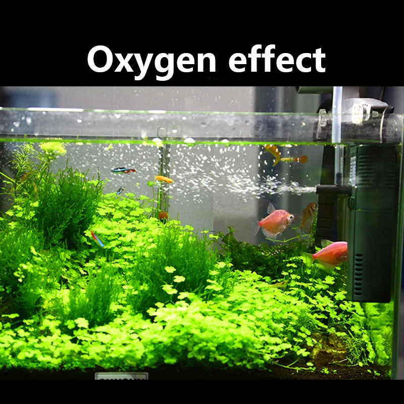 Sunsun-ミニナノ内部酸素ポンプ,111b,311b,6 - Marine Aquarium Uv Sterilizer のレビューと価格